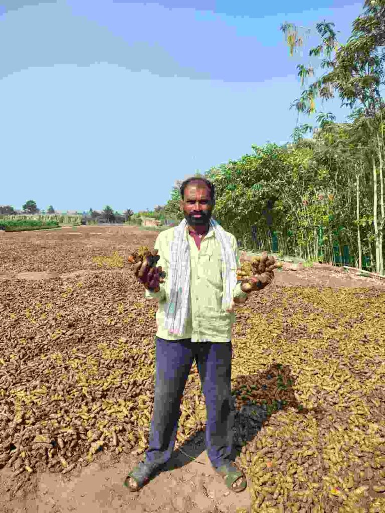 ಯಲ್ಲಪ್ಪ ಬೆಳಗಲಿ 1 ಏಕರೆ 30 ಗುಂಟೆ ಜಮೀನಲ್ಲಿ 80 ಕ್ವಿಂಟಲ್ ಅರಿಶಿಣ ಬೆಳೆದು ದಾಖಲೆ ಮೆರೆದಿದ್ದಾರೆ